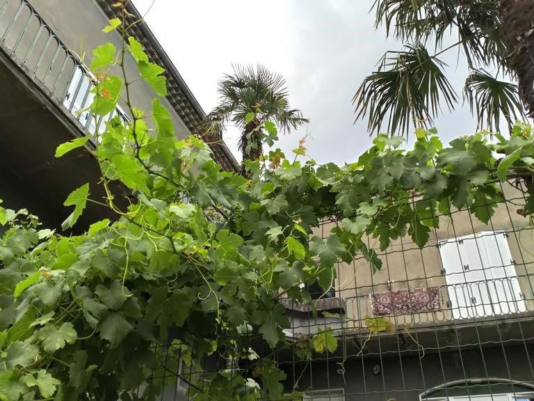La Maison Jaffran, Suite En Ville Privas Exterior photo